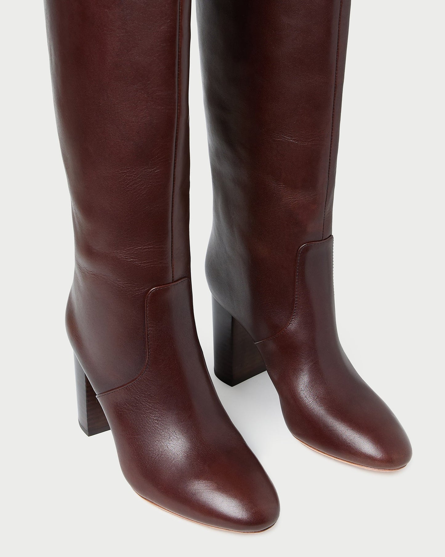 Goldy Espresso Leather Tall Boot | Loeffler Randall Women