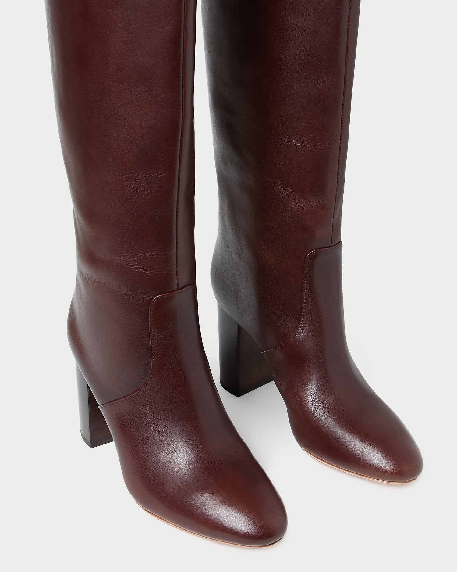 Goldy Espresso Leather Tall Boot | Loeffler Randall Women