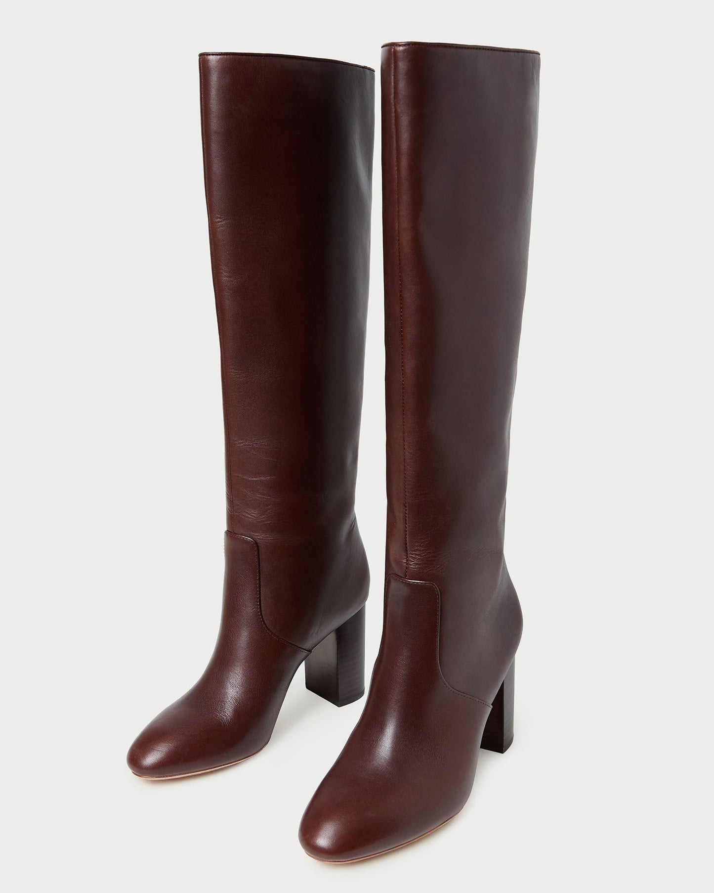 Goldy Espresso Leather Tall Boot | Loeffler Randall Women