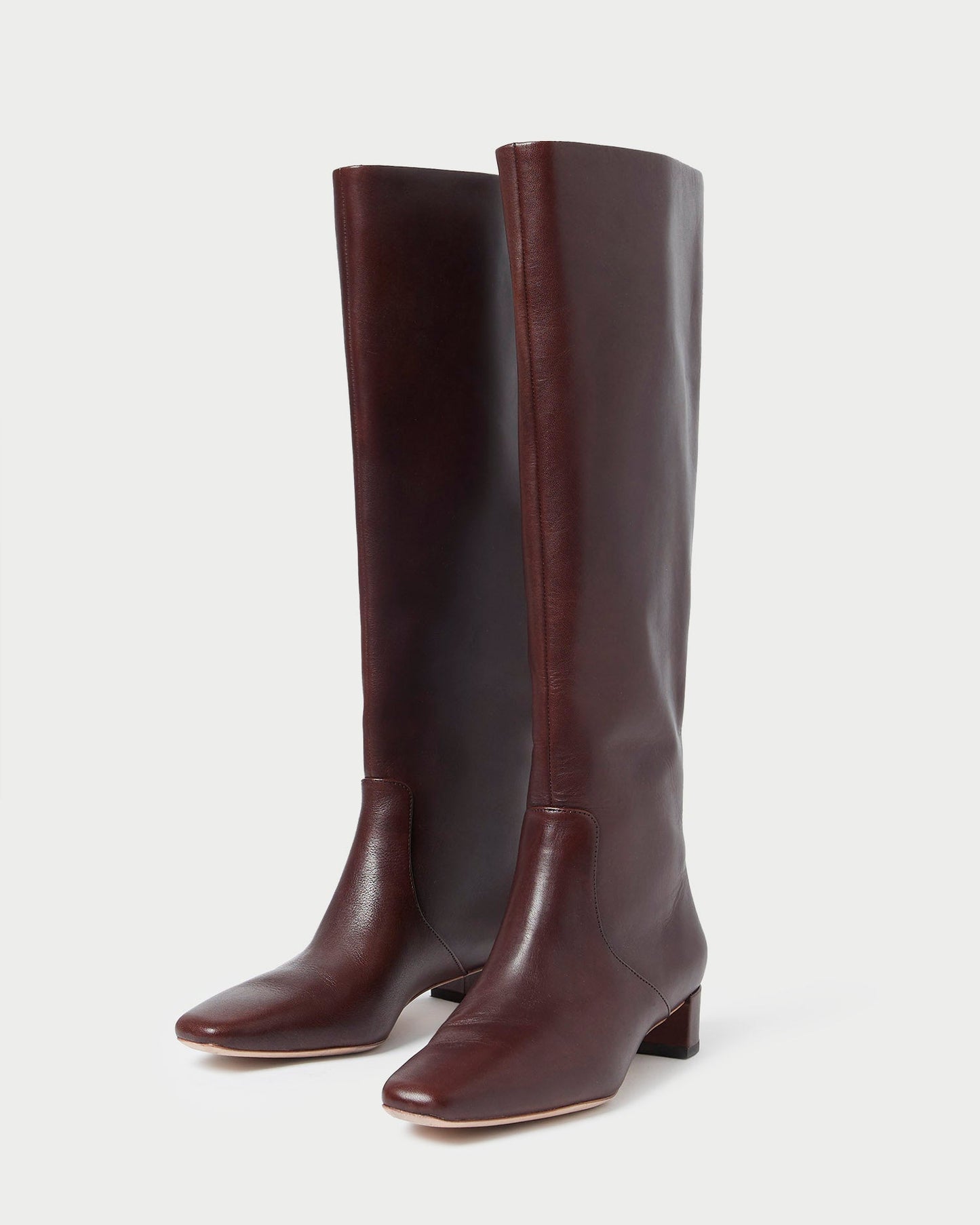 Indy Espresso Leather Tall Boot | Loeffler Randall Women